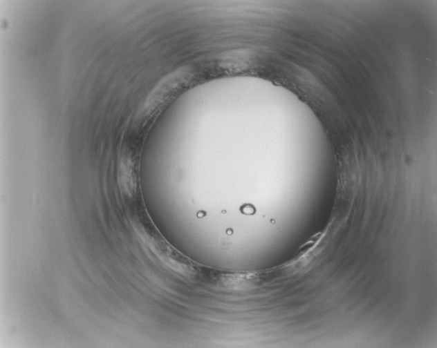 X0000055510136200508262150