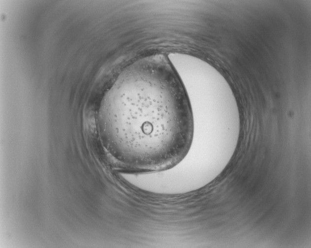 X0000055510137200508262150