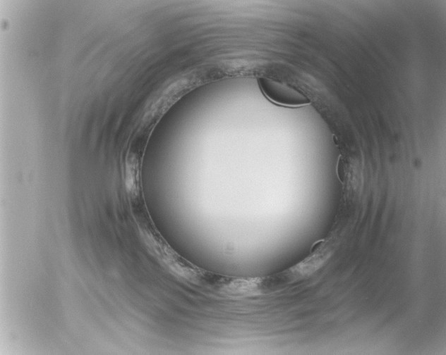 X0000055510138200508262150