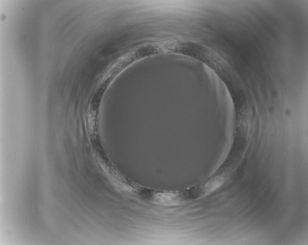 X0000055510139200508262150