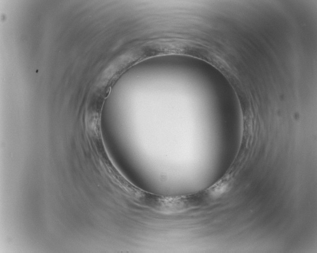 X0000055510141200508262150