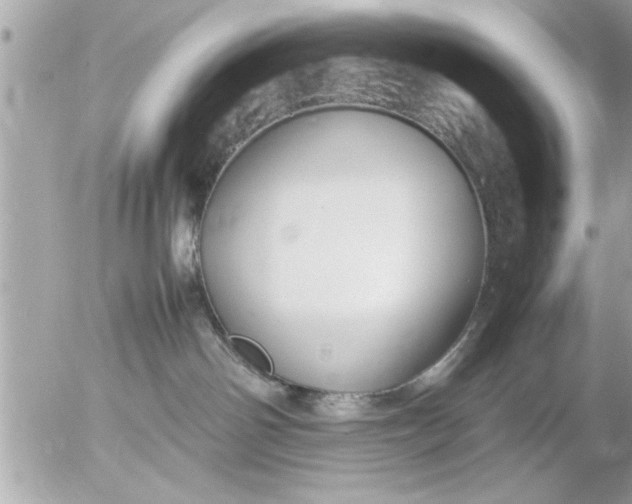 X0000055510142200508262150