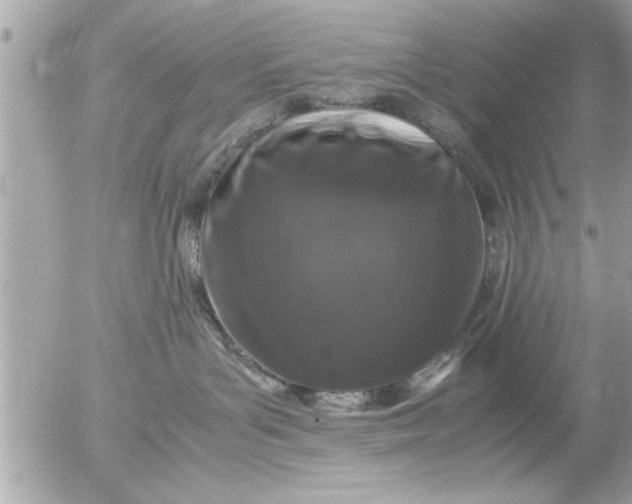 X0000055510143200508262150