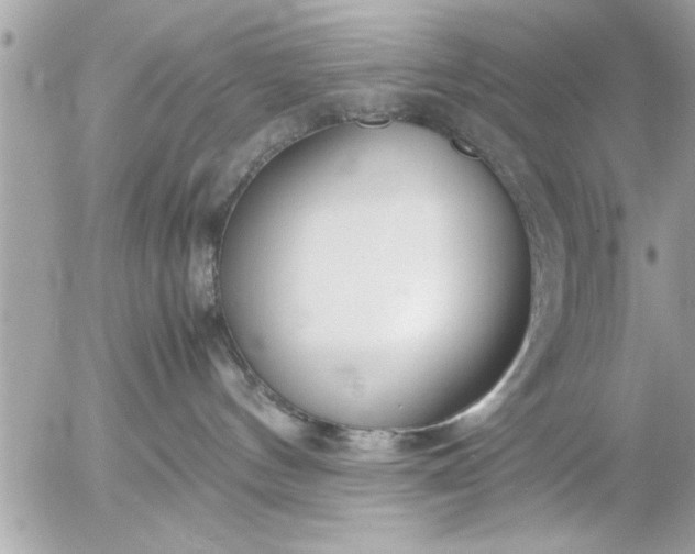 X0000055510144200508262150