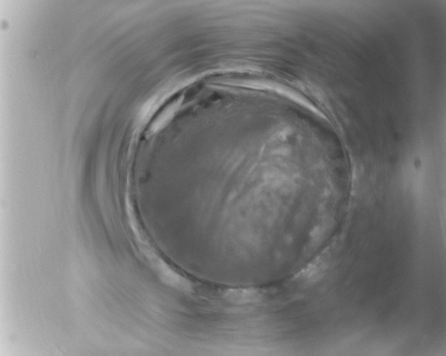 X0000055510145200508262149