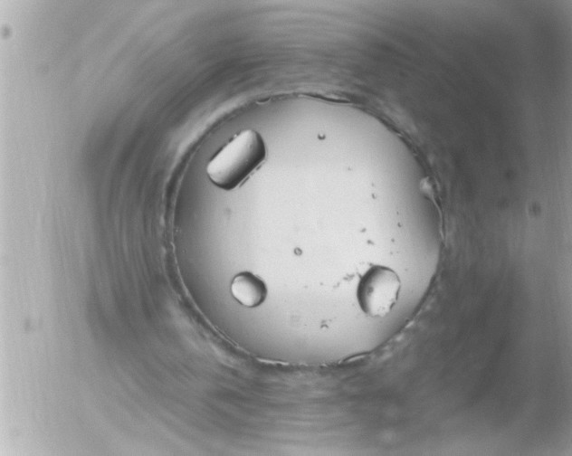 X0000055510146200508262149