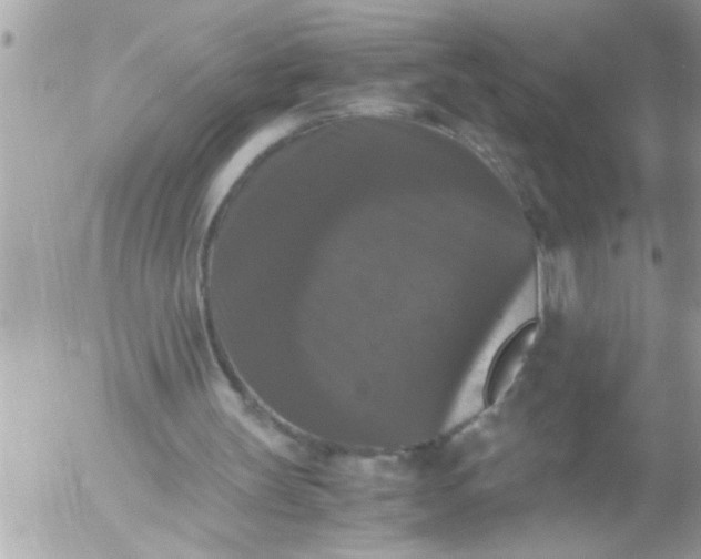 X0000055510147200508262149