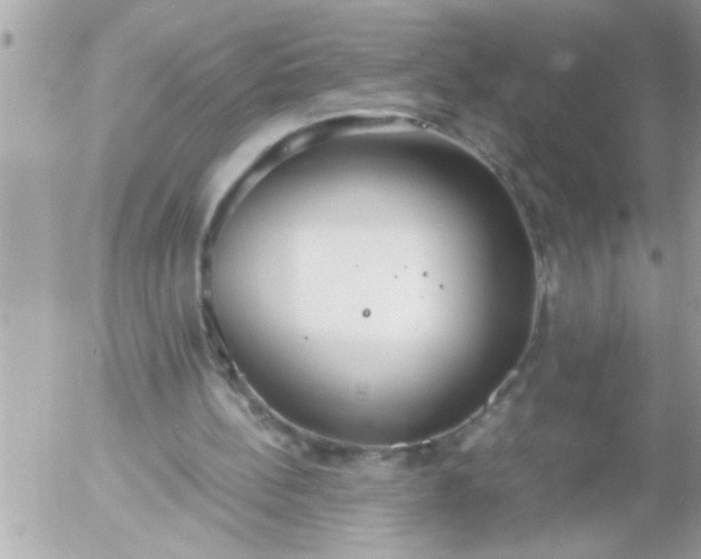 X0000055510148200508262149