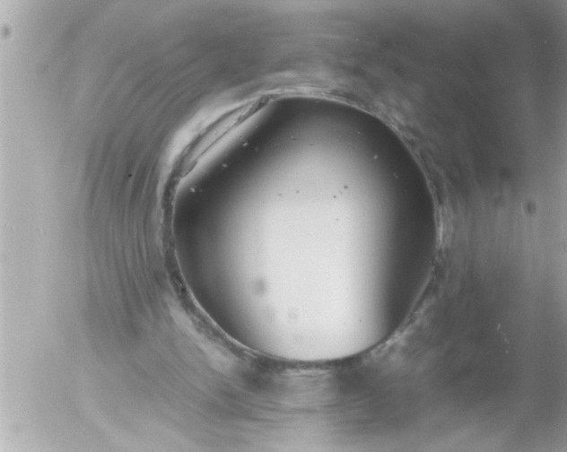 X0000055510150200508262149