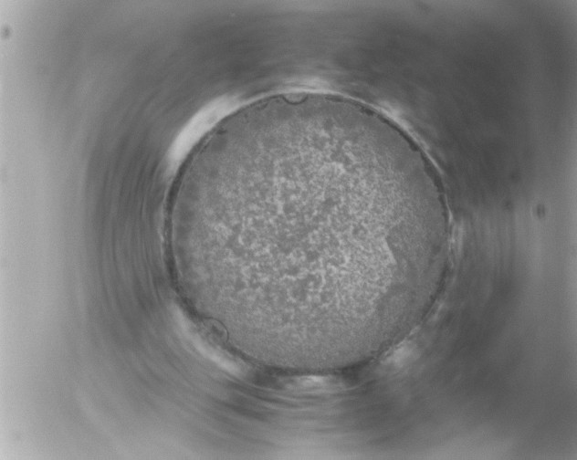 X0000055510151200508262149