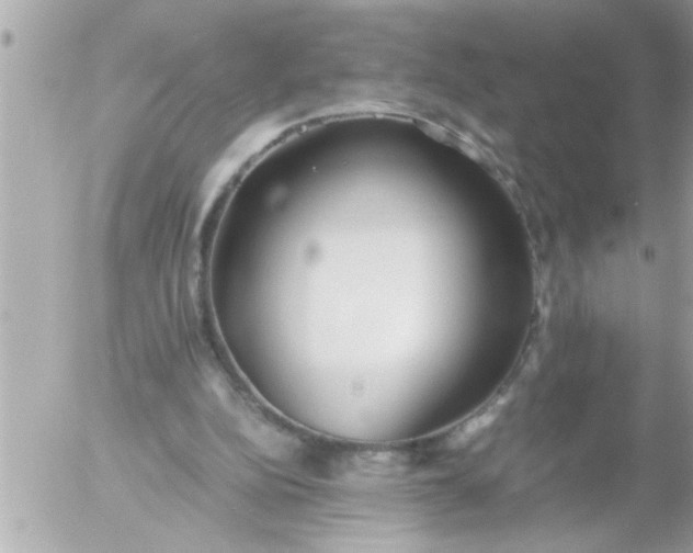 X0000055510152200508262149