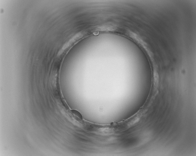 X0000055510153200508262149