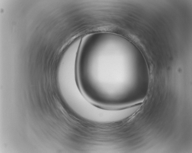 X0000055510154200508262149