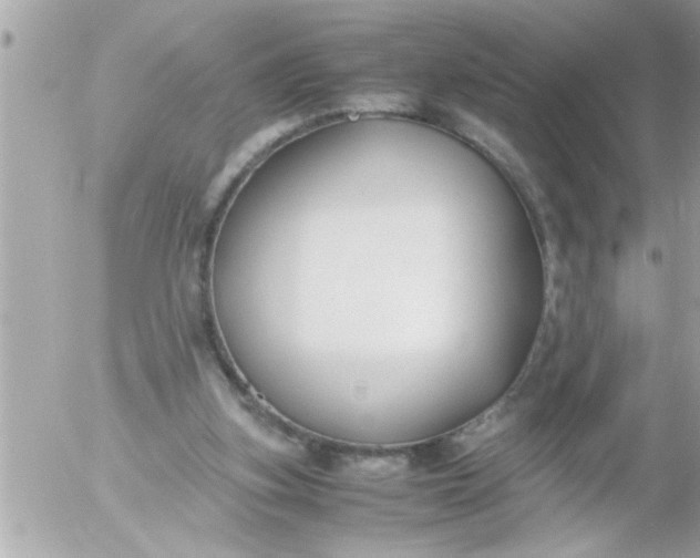 X0000055510155200508262149