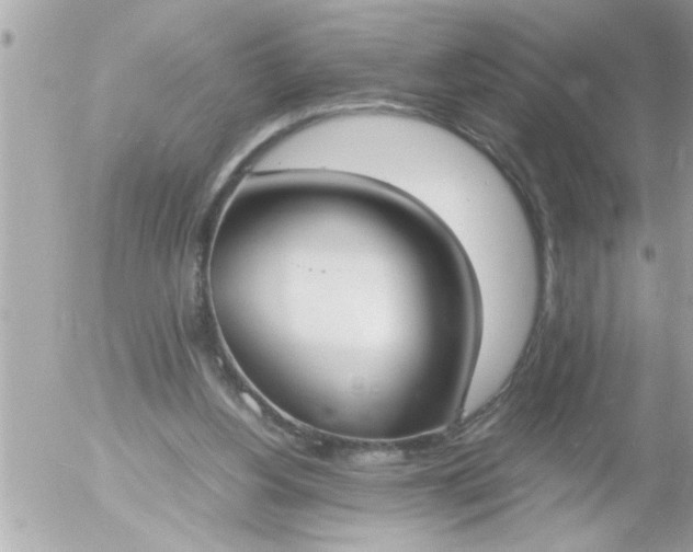 X0000055510156200508262149