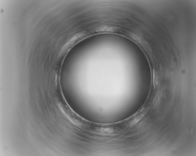 X0000055510157200508262149