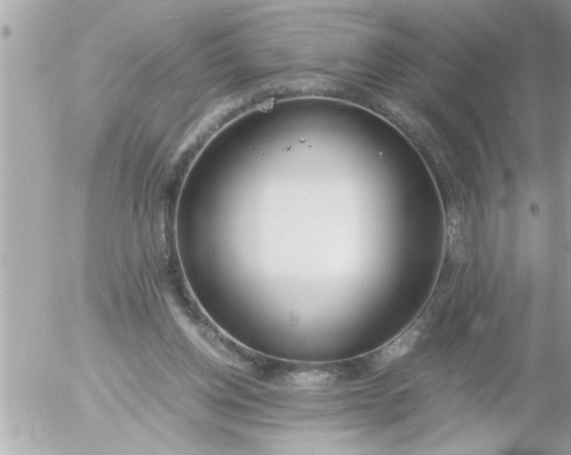 X0000055510158200508262149