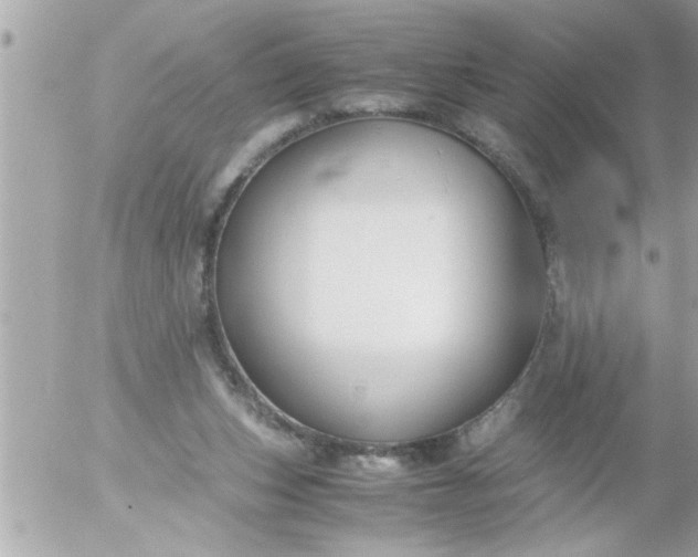 X0000055510159200508262149