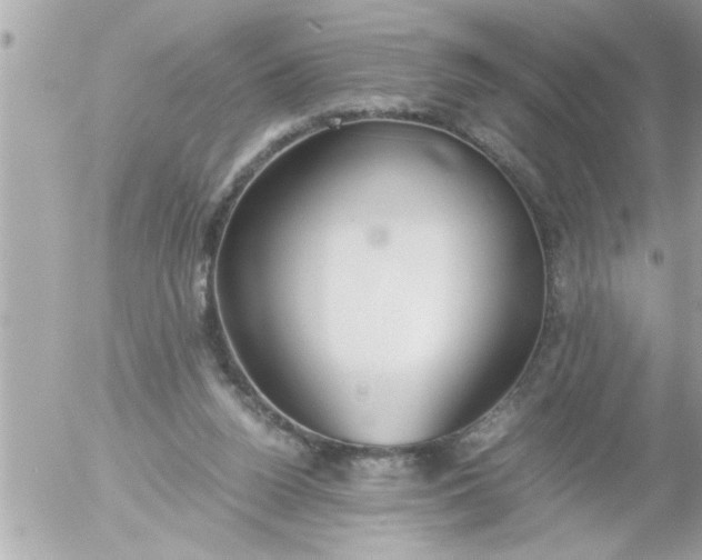 X0000055510160200508262149