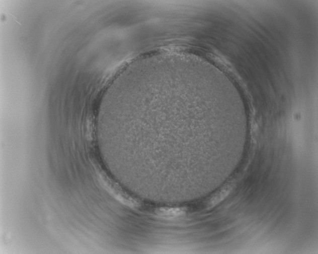 X0000055510161200508262149