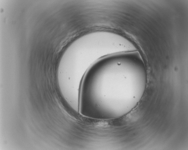 X0000055510162200508262149