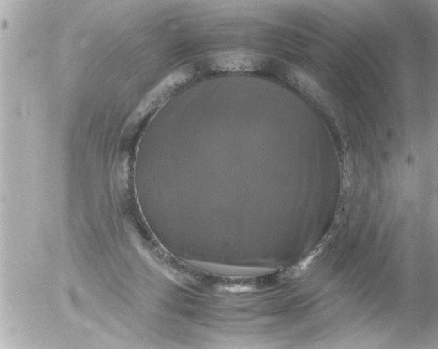 X0000055510163200508262149