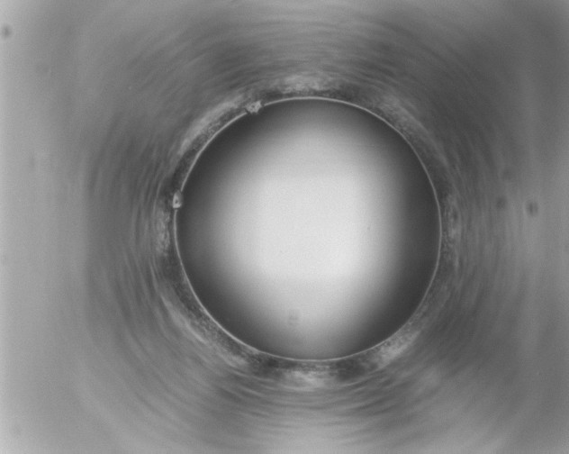 X0000055510164200508262149