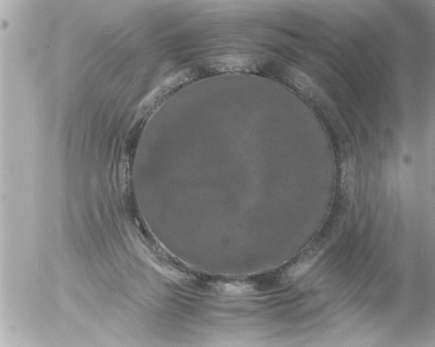 X0000055510165200508262149