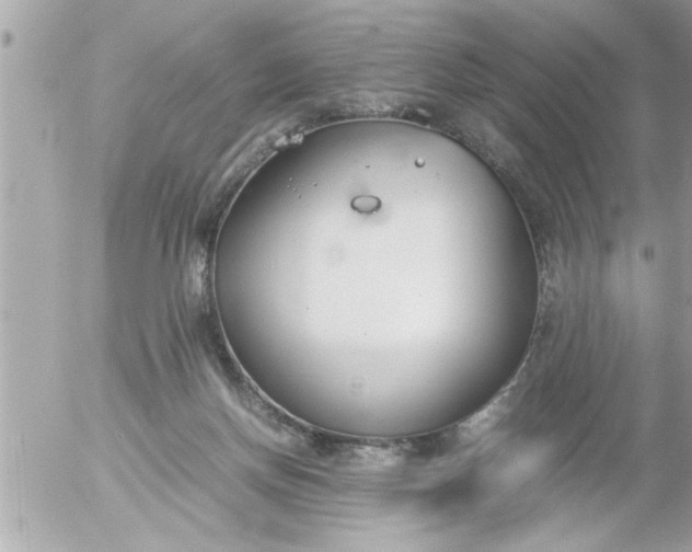 X0000055510166200508262149