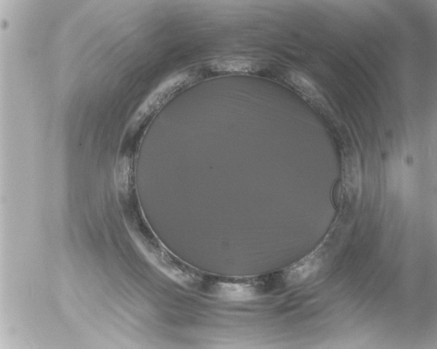 X0000055510167200508262149