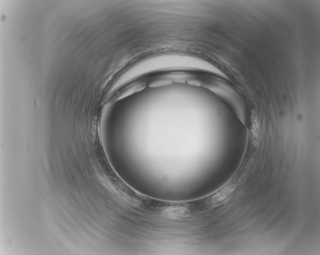 X0000055510168200508262149