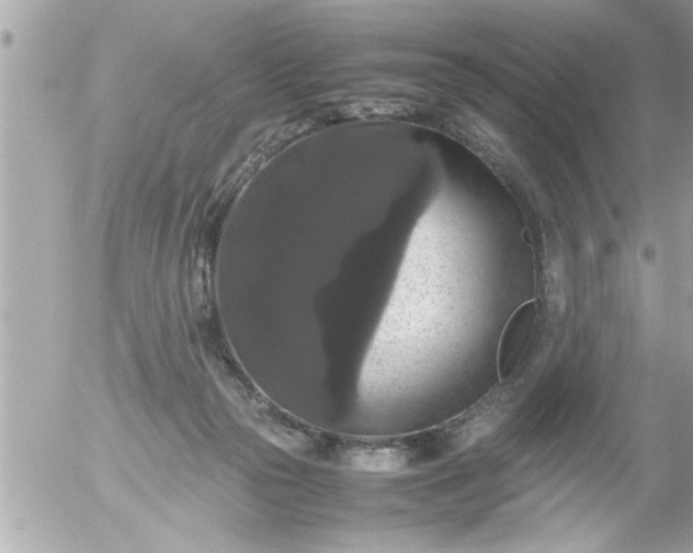 X0000055510169200508262149