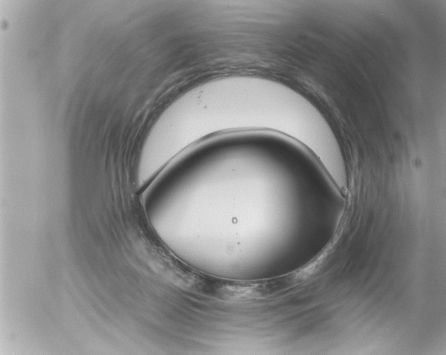 X0000055510170200508262149