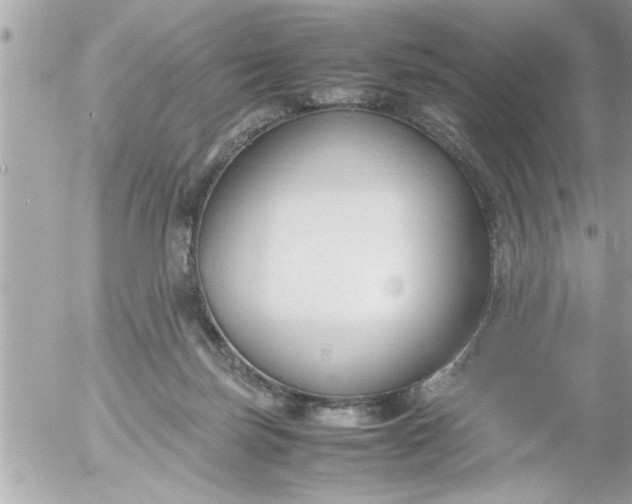 X0000055510171200508262149