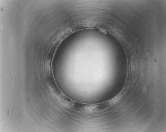 X0000055510172200508262149