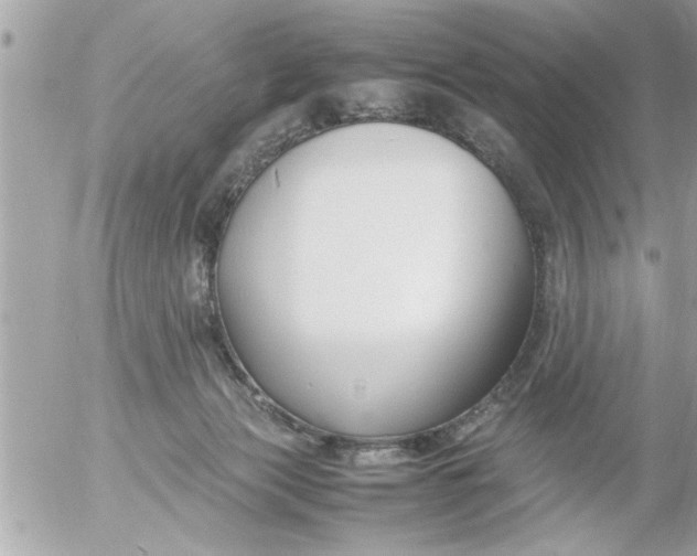 X0000055510173200508262149