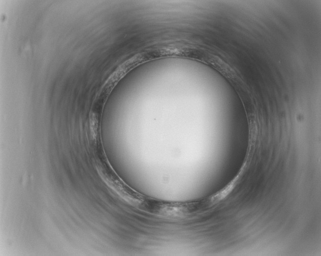 X0000055510174200508262149