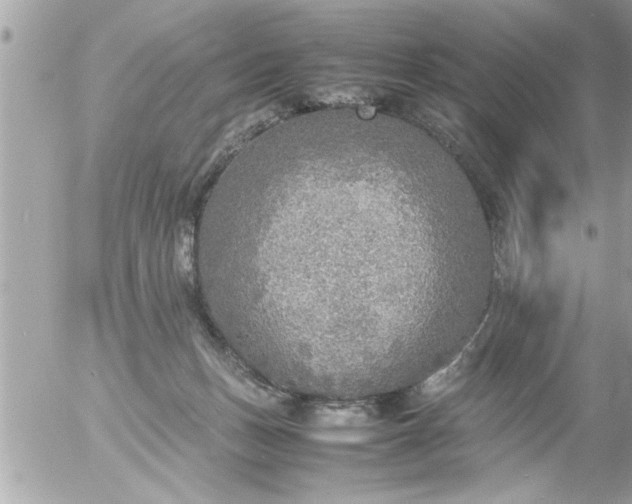 X0000055510175200508262149