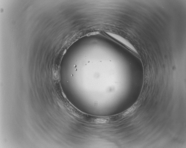 X0000055510176200508262149