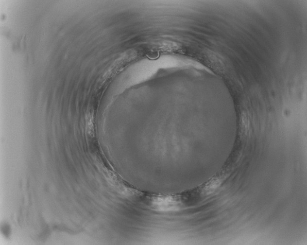 X0000055510177200508262149