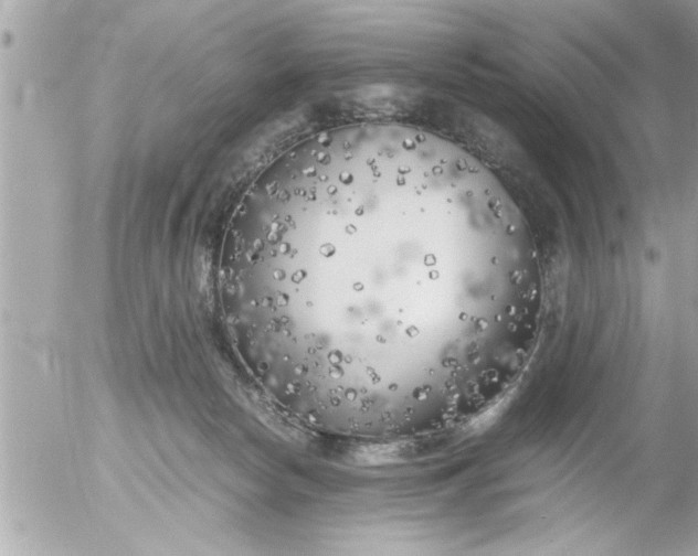 X0000055510178200508262149