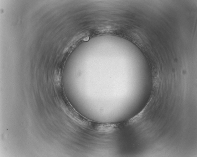 X0000055510179200508262149