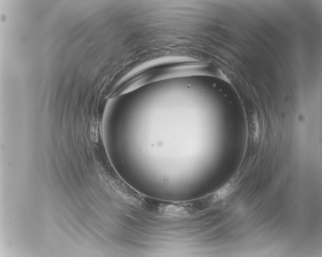 X0000055510180200508262149