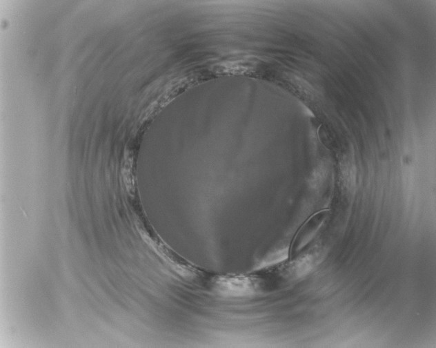 X0000055510181200508262149