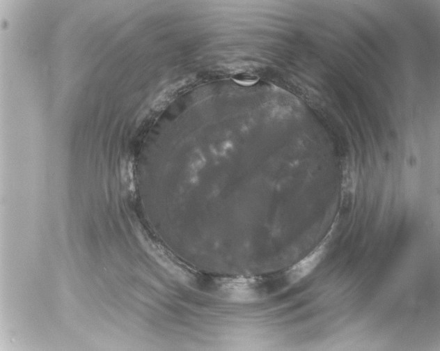 X0000055510182200508262149