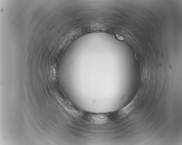 X0000055510183200508262149