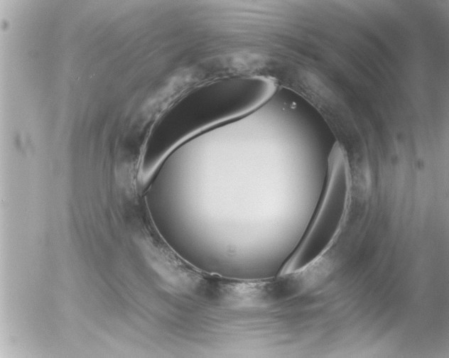 X0000055510184200508262149