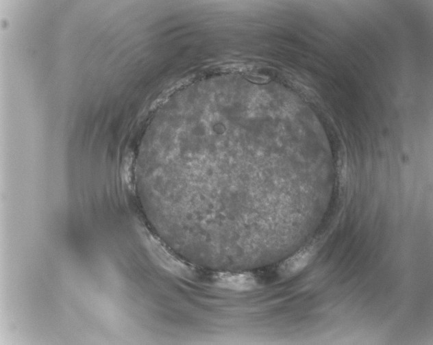 X0000055510185200508262149