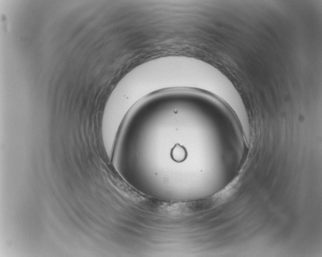 X0000055510186200508262149