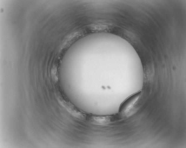 X0000055510187200508262149